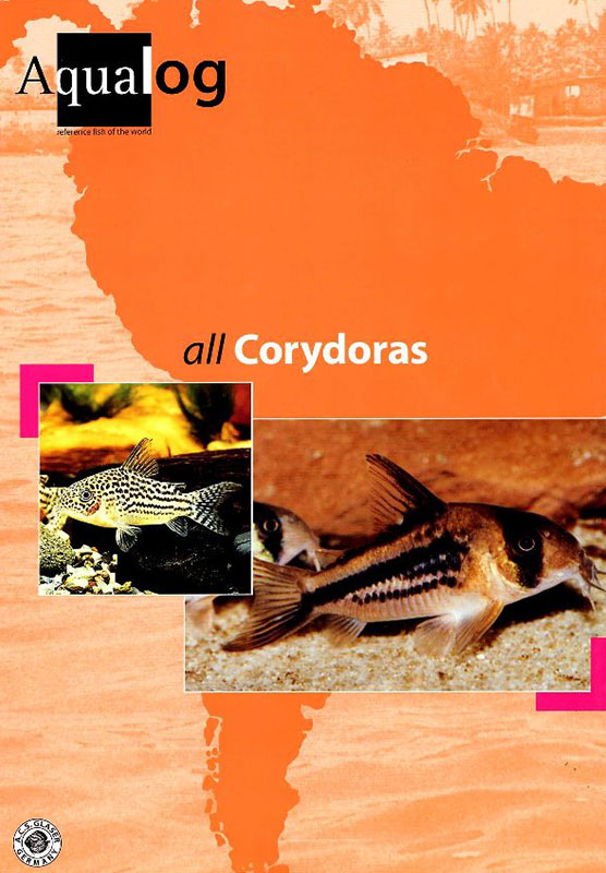 All Corydoras. Aqualog